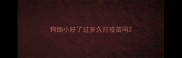 狗细小好了过多久打疫苗吗