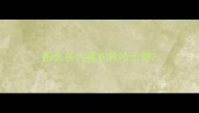 那么多人喜欢养哈士奇
