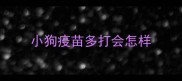 小狗疫苗多打会怎样