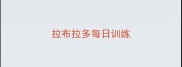 拉布拉多每日训练