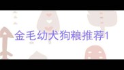 金毛幼犬狗粮推荐