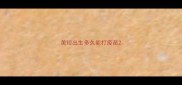 美短出生多久能打疫苗