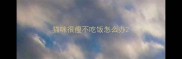 猫咪很瘦不吃饭怎么办