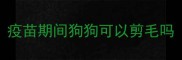 疫苗期间狗狗可以剪毛吗