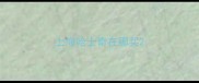 上海哈士奇在哪买