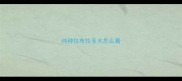 纯种拉布拉多犬怎么看