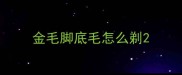 金毛脚底毛怎么剃