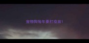 宠物狗每年要打疫苗