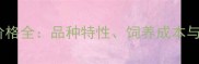 边牧幼犬价格全品种特性饲养成本与选购指南
