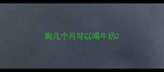 狗几个月可以喝牛奶