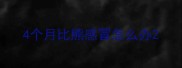 4个月比熊感冒怎么办