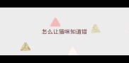 怎么让猫咪知道错