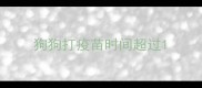 狗狗打疫苗时间超过