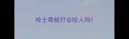 哈士奇被打会咬人吗