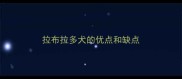 拉布拉多犬的优点和缺点