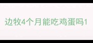 边牧4个月能吃鸡蛋吗