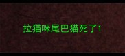 拉猫咪尾巴猫死了