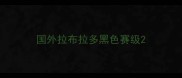 国外拉布拉多黑色赛级