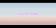 金毛犬必须打的疫苗