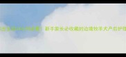边牧幼崽出生后24小时必看新手家长必收藏的边境牧羊犬产后护理全攻略