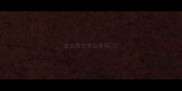 怎么教拉布拉多开门