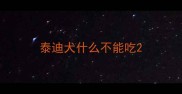 泰迪犬什么不能吃