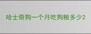 哈士奇狗一个月吃狗粮多少