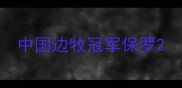 中国边牧冠军保罗