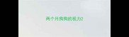 两个月狗狗的视力