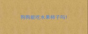 狗狗能吃水果柿子吗