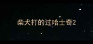 柴犬打的过哈士奇