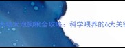 五个月大幼犬泡狗粮全攻略科学喂养的6大关键步骤