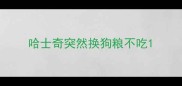 哈士奇突然换狗粮不吃