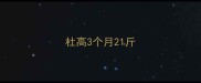 杜高3个月21斤