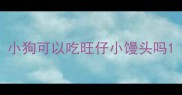 小狗可以吃旺仔小馒头吗
