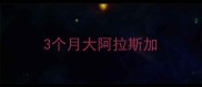 3个月大阿拉斯加