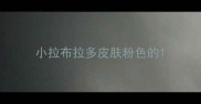 小拉布拉多皮肤粉色的