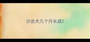沙皮犬几个月长成
