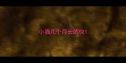 小猫几个月长的快