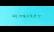 狗打完疫苗呆呆的
