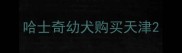 哈士奇幼犬购买天津