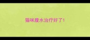 猫咪腹水治疗好了