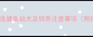 网购狗狗必看指南如何挑选健康幼犬及饲养注意事项附疫苗饮食健康保障全攻略