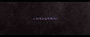 小狗可以吃苹果吗