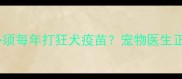 最新指南狗狗必须每年打狂犬疫苗宠物医生正确接种时间表