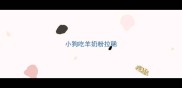 小狗吃羊奶粉拉稀