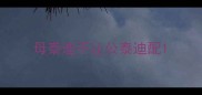 母泰迪不让公泰迪配