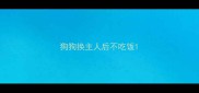 狗狗换主人后不吃饭