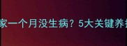狗狗买回家一个月没生病5大关键养护细节全
