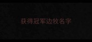 获得冠军边牧名字